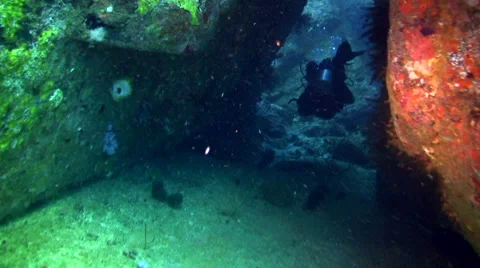 Diver in swim through Stock Footage 58505569