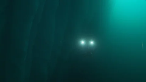 Lake X PlastX toad, underwater footage 