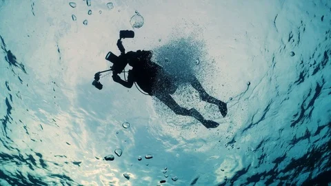 Diver swimming close the surface Stock Footage 126764356