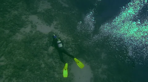 Diver swimming near reef in ocean Stock Footage 47198341
