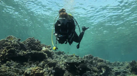 Diver swimming over the reef Stock Footage 22710900