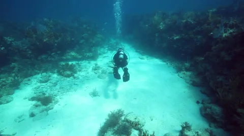 Diver swimming over seabed Stock Footage 57814997