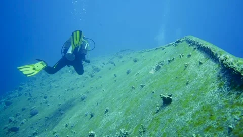 Diver swimming over sunken ship Stock Footage 241086574