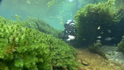 A diver swimming with strong current in a clear spring Stock Footage 82828811