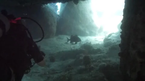 Diver swimming through cave Video stock 33104547