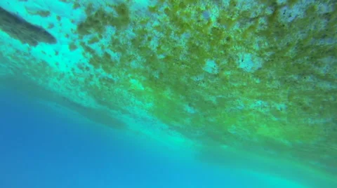 Diver swimming with turtle Stock Footage 42756795