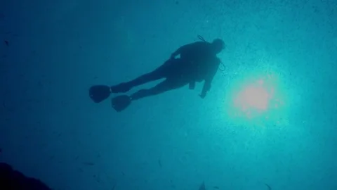 Diver swims with a large school of fish Stock Footage