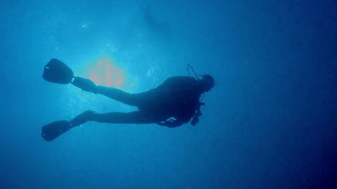 Diver swims with a large school of fish Stock Footage 74271803