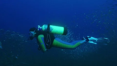 Diver swims with a large school of fish Stock Footage 74278162