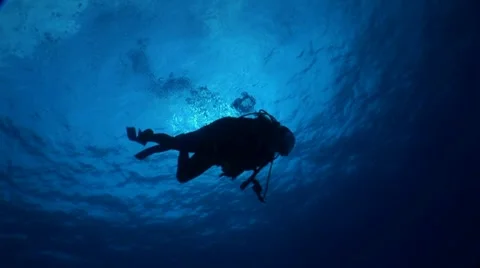 Diver Swims Near Surface Stock Footage 10922079