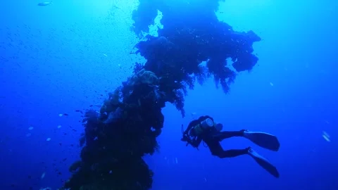 A diver swims in the ocean. Video stock 325733476