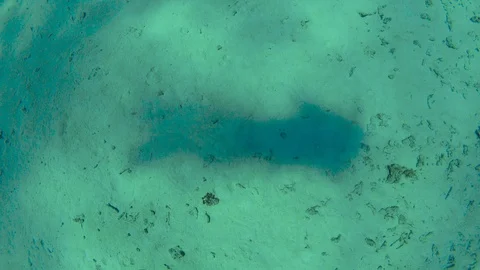 Diver Swims Over Bottom Stock Footage 93911809