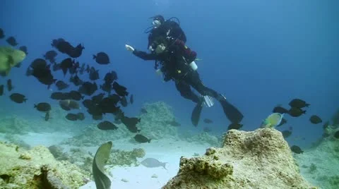 Diver swims over camera. Red sea Stock Footage 20453921