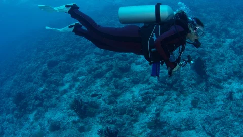 A diver swims over a silted, partially destroyed coral reef Stock Footage 116048382