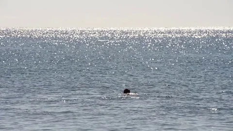 A diver swims on the surface of the sea Stock Footage 83390962