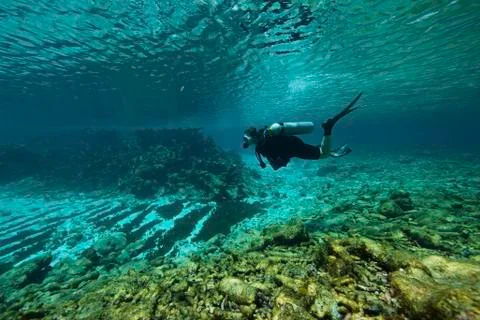 Diver swims through the shallow reef towards shore. Stock Photos