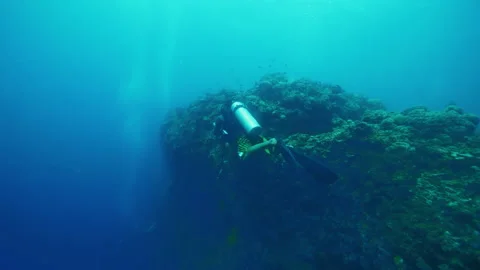 Diver swims through submerged environment exploring reefs Stock Footage 305964282