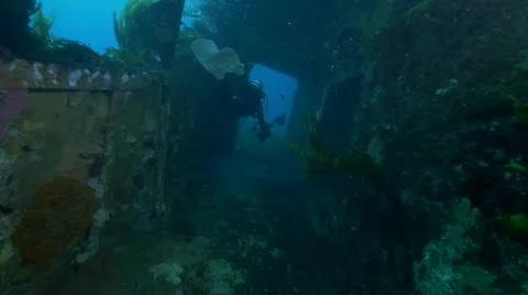 Diver swims through wreck Vidéo 58381434