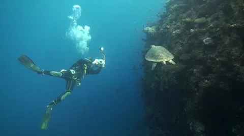 Diver taking a photo of a turtle Stock Footage 12332566