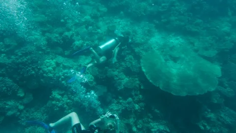 Diver Taking Photos Underwater Of Another Diver Stock Footage 125799337