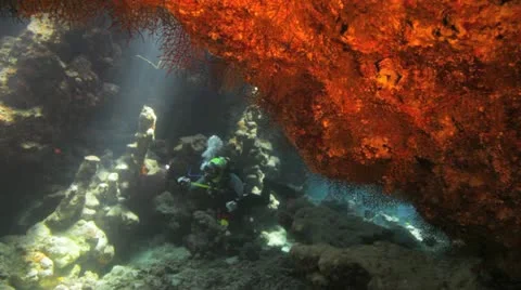 Diver taking pictures inside the cave 库存影片 22643205