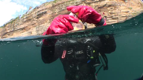 Diver taking surface water sample #11-3 Stockbeeldmateriaal 39080652