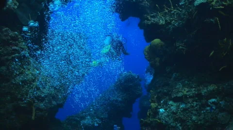 Diver through caves Stock Footage 398987