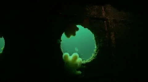 Diver through port hole 動画素材 12553112