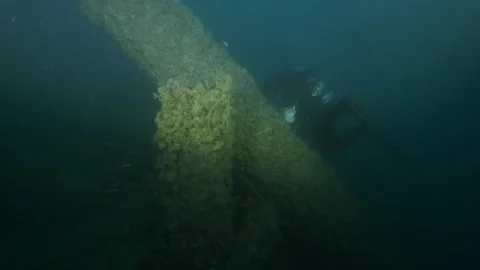 Diver with torch explores the mainmast of the wreck Adernò with shoal of Anthias Stock Footage 228214021