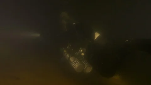 Diver with torch finds lake eel hidden in the sand which escapes, Albano lake Stock Footage 104504071
