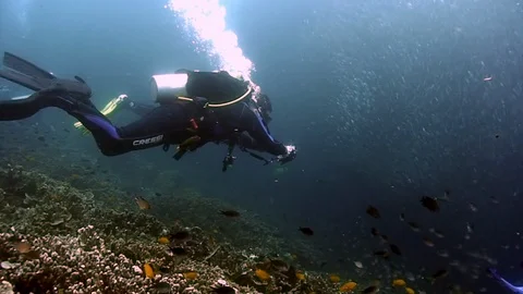 Diver under school of fish forms shape underwater. 库存影片 121061172