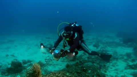 Diver under school of fish forms shape underwater. 스톡 동영상 121061205