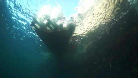 Diver under the surface of the water against the sun. Video stock 155156088
