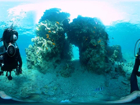 Diver under the water corals in 360 vr Видео 73685315