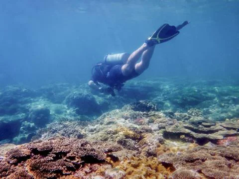 Diver under water Stock Photos