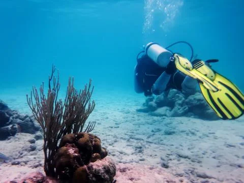 Diver under water Stock Photos