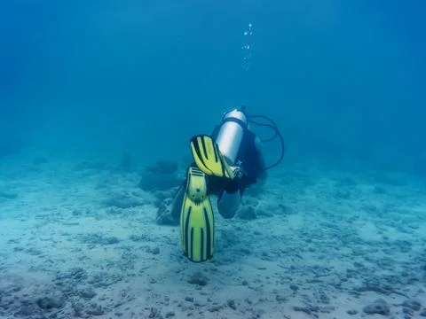 Diver under water Stock Photos