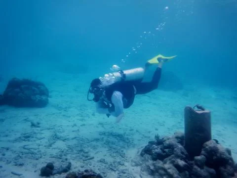 Diver under water Stock Photos