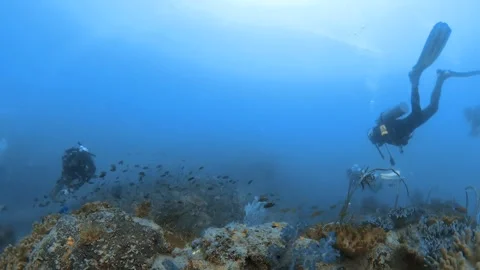 Diver underwater Video stock 248700931