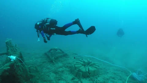 Diver underwater Stock Footage 263116297