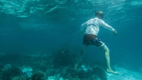 Diver underwater Stock Photos