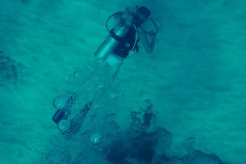 Diver underwater Fotos de archivo
