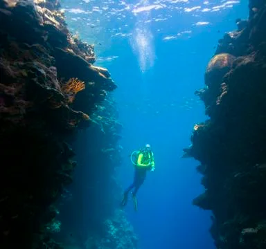 Diver underwater Stock Photos