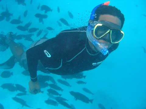Diver underwater Stock Photos
