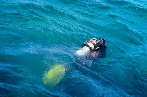 The diver in the water Stock Photos
