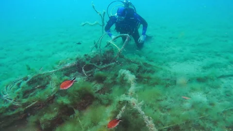 Diver working on a wired underwater station Stock Footage 263115658