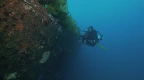Diver on wreck Video stock 58381439