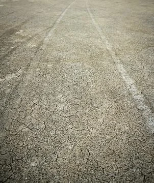 Diverging pattern of four wheel drive tracks in wet yellow sand 写真素材