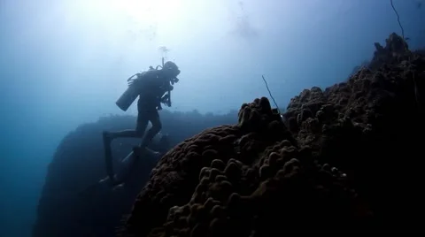Divers accending from the reef Stock Footage 58299830