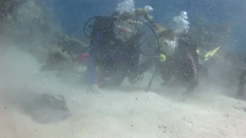 Divers and stingray on sandy bed of Caribbean Sea. Video stock 233511587